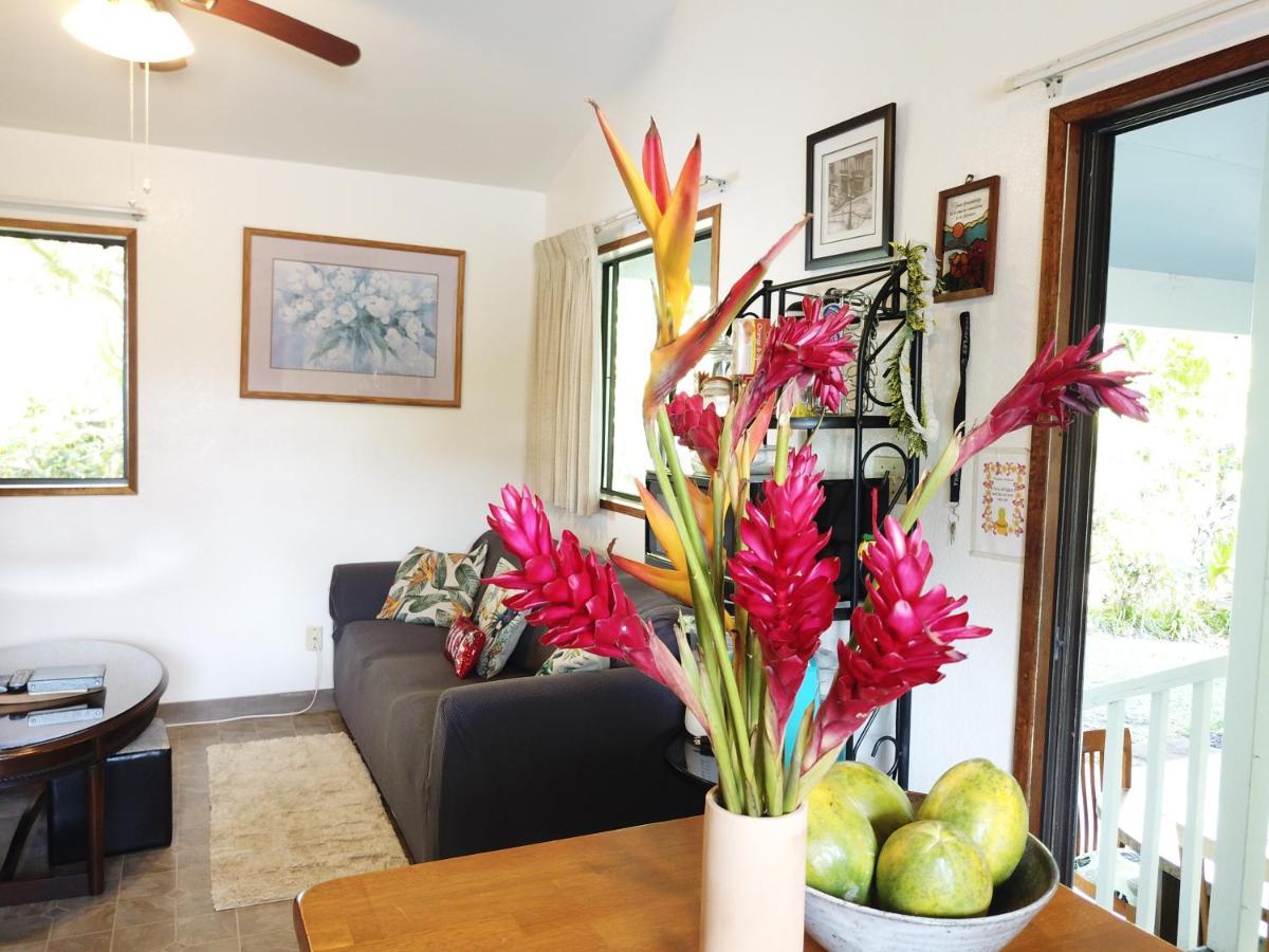 Hawaiian Ohana Home Hilo Bagian luar foto