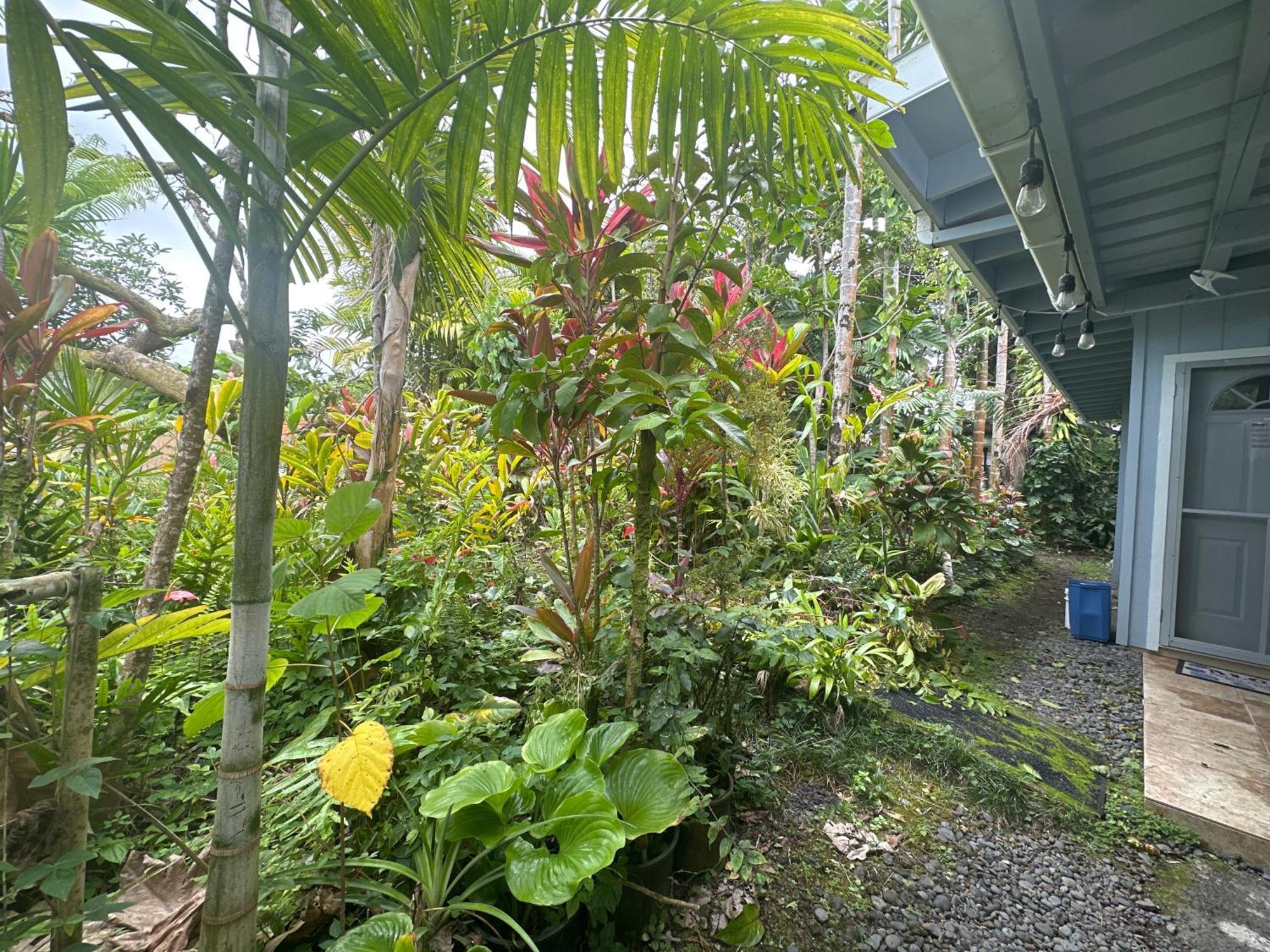 Hawaiian Ohana Home Hilo Bagian luar foto