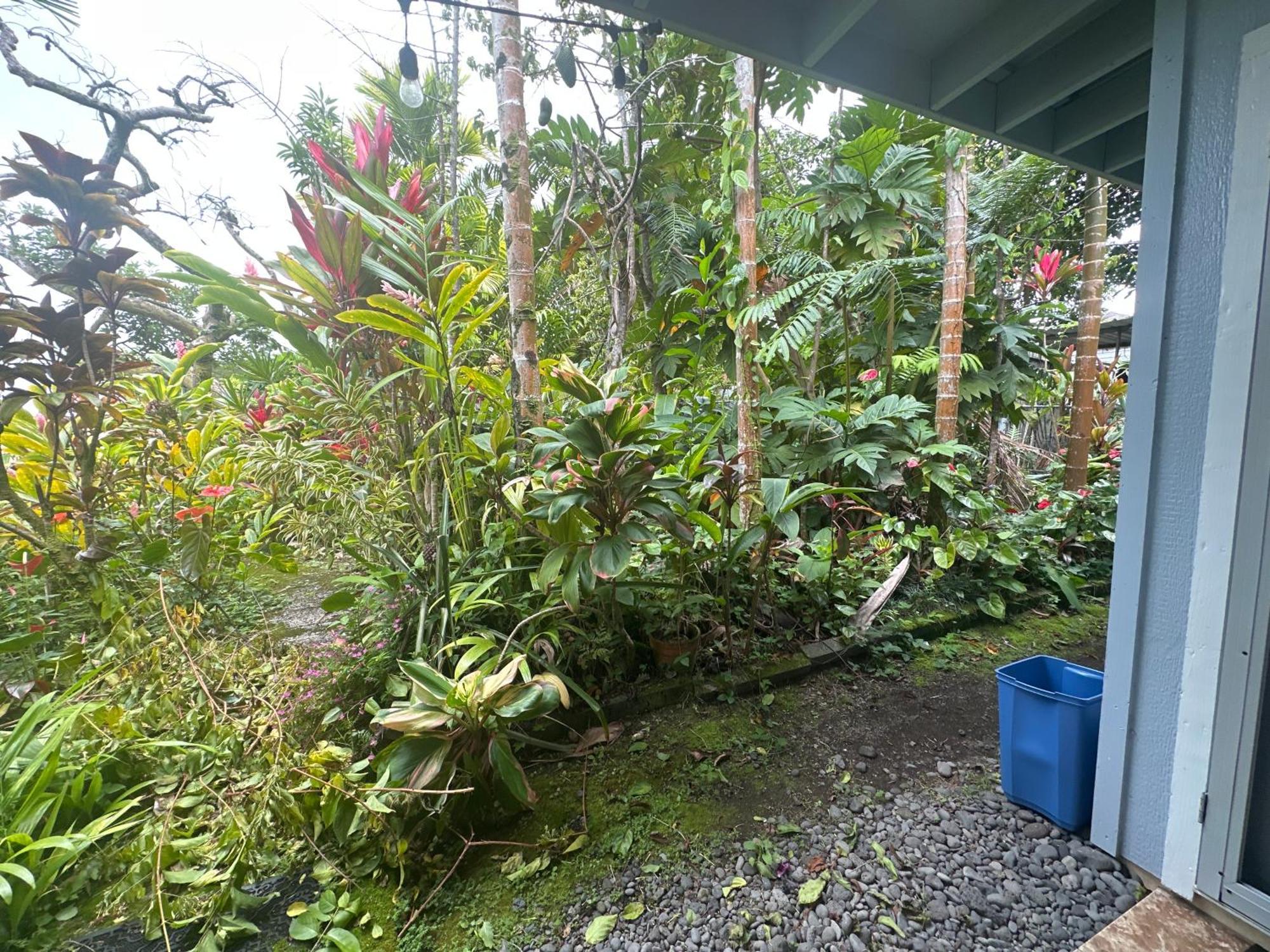Hawaiian Ohana Home Hilo Bagian luar foto