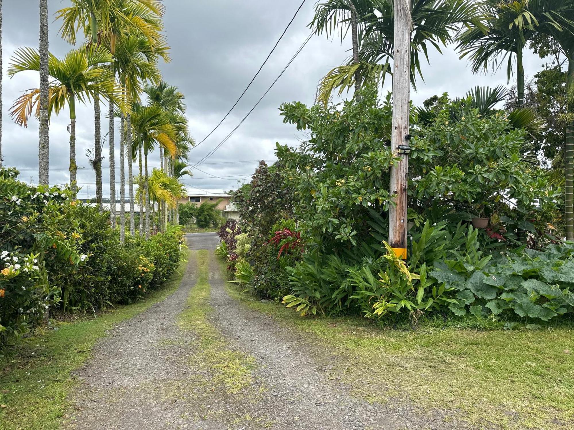 Hawaiian Ohana Home Hilo Bagian luar foto